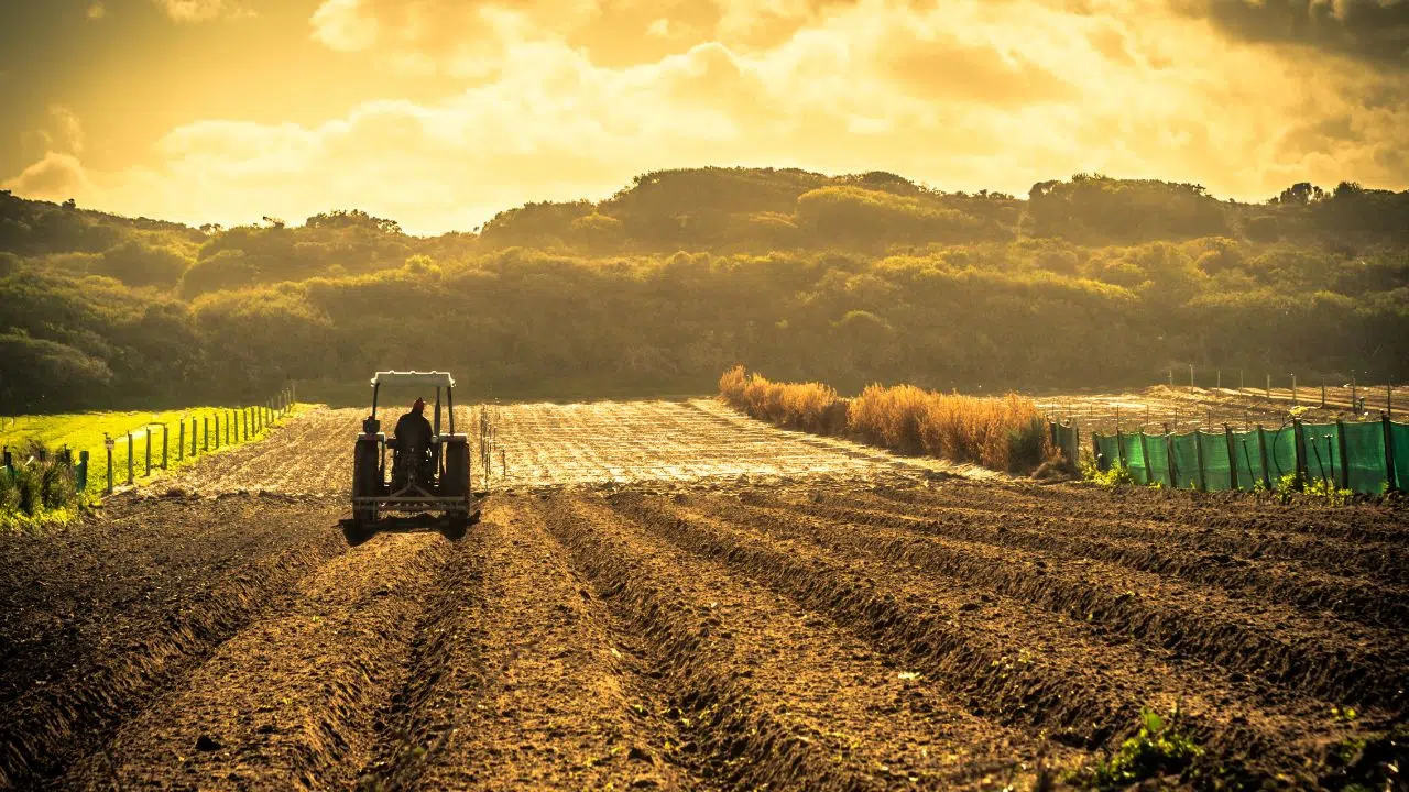 Tempête Ciaran une réponse insuffisante et un appel à une réforme systémique du monde assurantiel Tempête Ciaran une réponse insuffisante et un appel à une réforme systémique du monde assurantiel