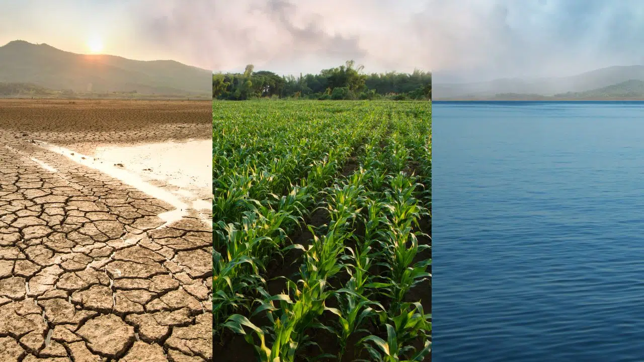 Journée mondiale du climat : le 8 décembre 2023 Journée mondiale du climat : le 8 décembre 2023
