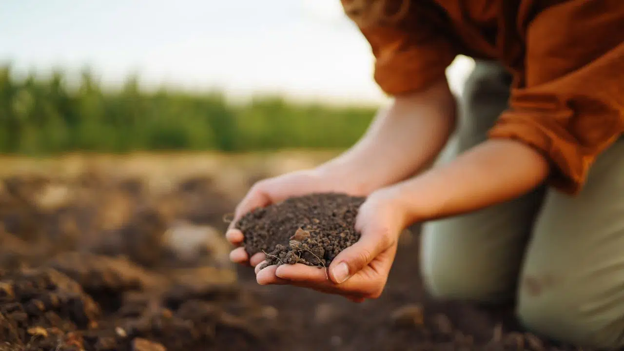 Journée mondiale des sols : le 5 décembre 2023 Journée mondiale des sols : le 5 décembre 2023