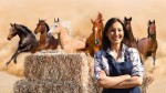 Comment bien nourrir mon cheval en hiver ?