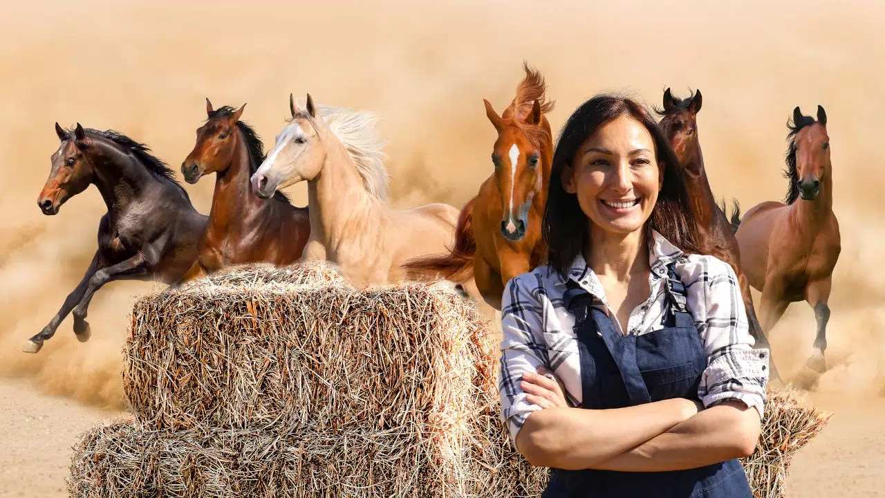 Comment bien nourrir mon cheval en hiver ? Comment bien nourrir mon cheval en hiver ?