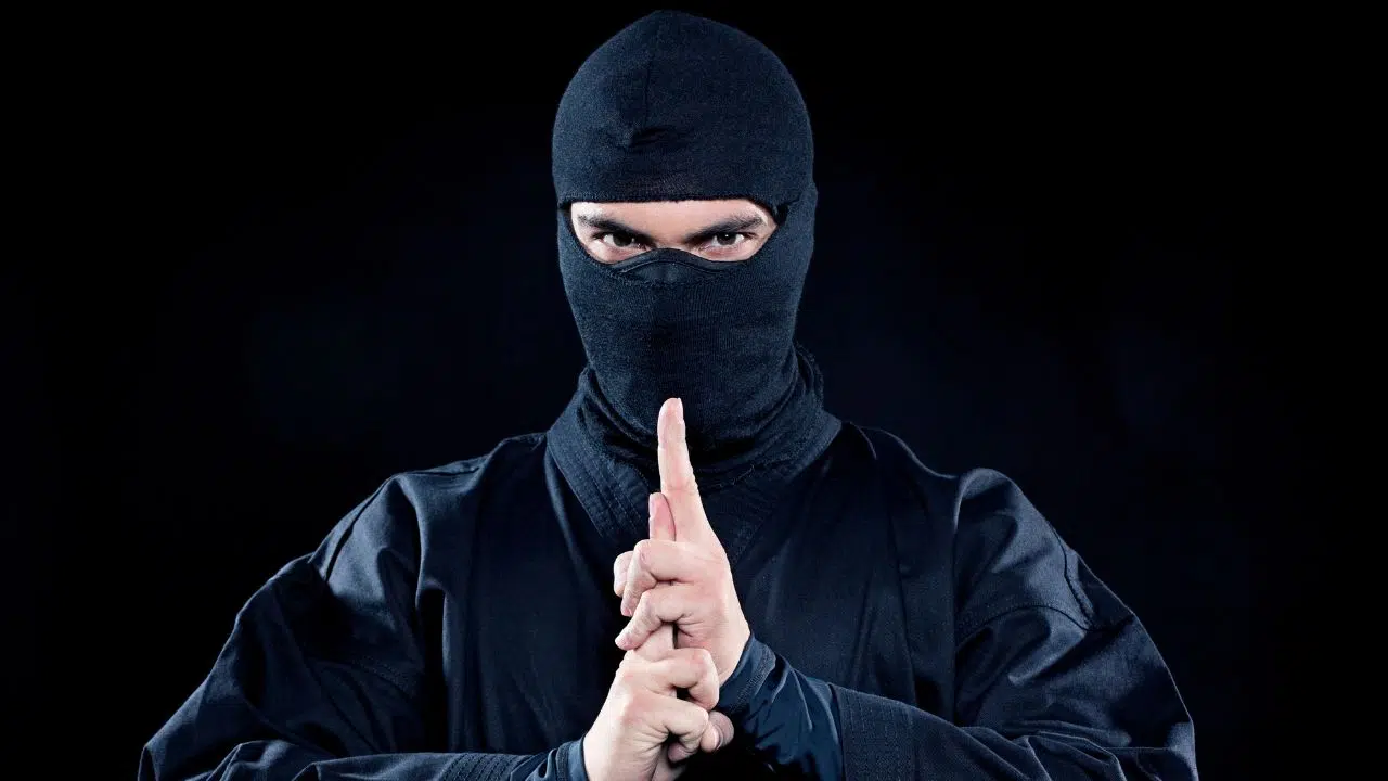Journée internationale du ninja : le 5 décembre 2023 Journée internationale du ninja : le 5 décembre 2023