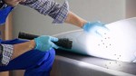 Comment arrivent les punaises de lit dans la maison ?