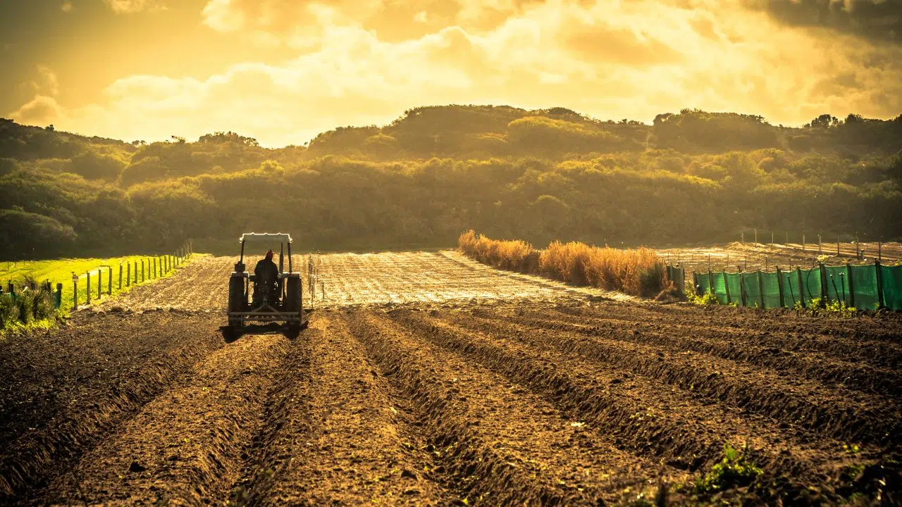 Annonces Majeures pour l'Agriculture Française