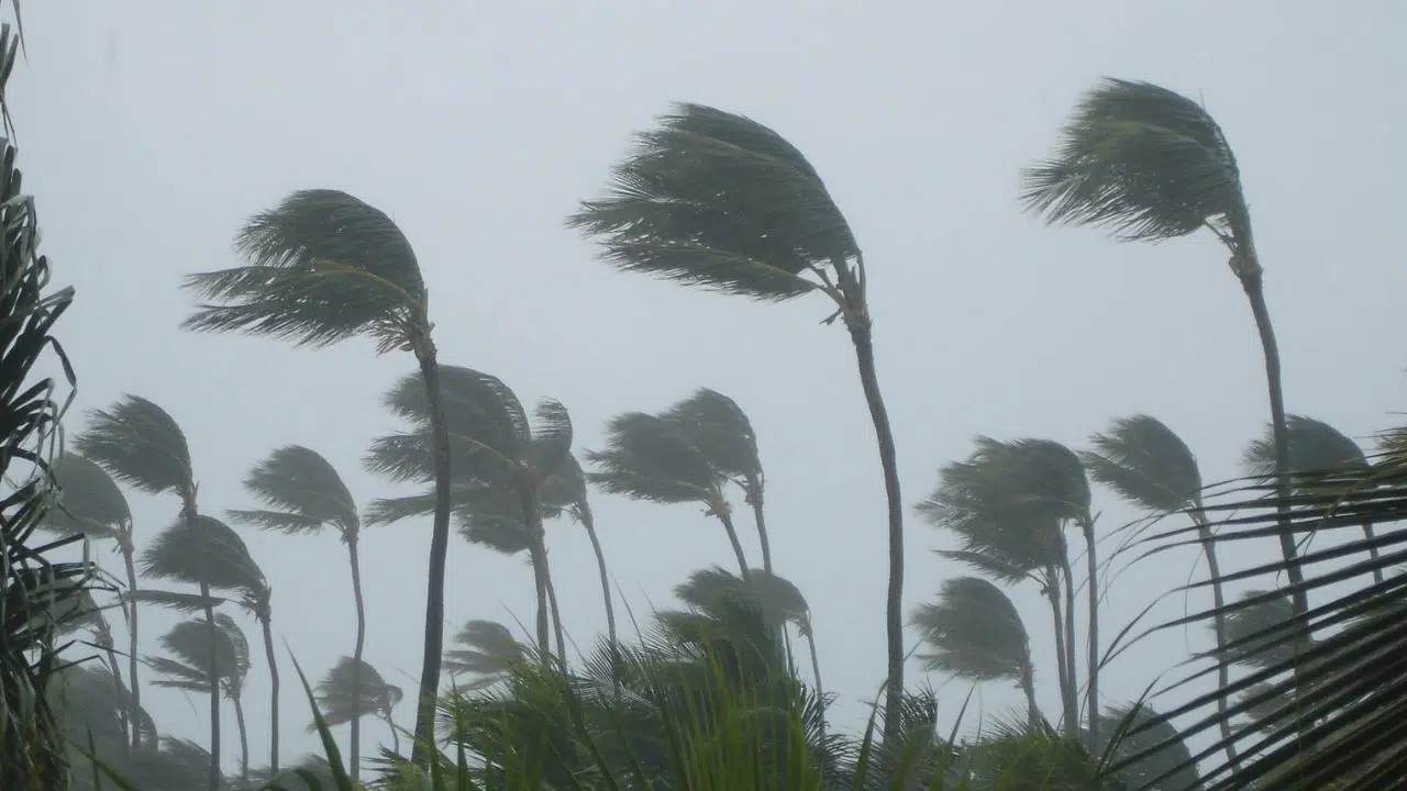 Cyclone Belal Fin de l'alerte et passage en phase de sauvegarde Cyclone Belal Fin de l'alerte et passage en phase de sauvegarde