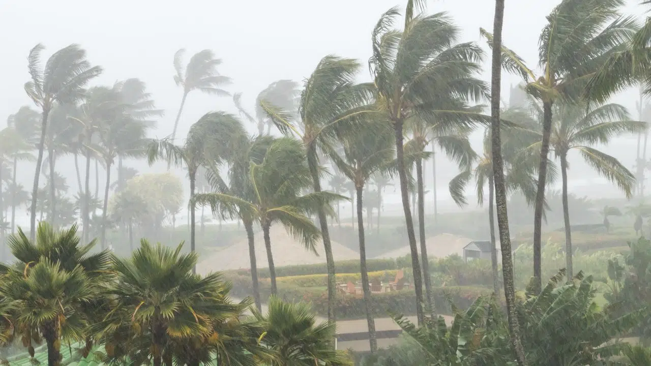 Cyclone Belal Procédure accélérée de reconnaissance de l'état de catastrophe naturelle à La Réunion Cyclone Belal Procédure accélérée de reconnaissance de l'état de catastrophe naturelle à La Réunion