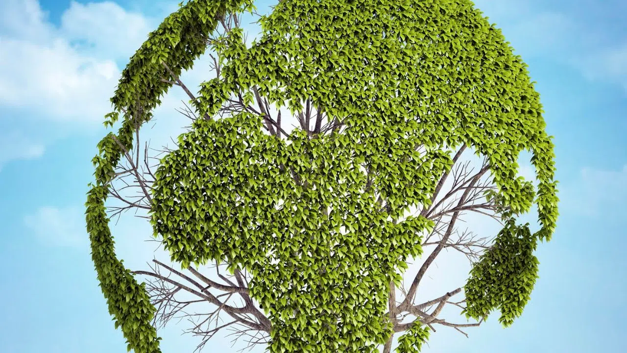 Passibat' 2024 : Le salon de la sobriété énergétique dédié aux professionnels du bâtiment se tiendra les 26 et 27 mars Passibat' 2024 : Le salon de la sobriété énergétique dédié aux professionnels du bâtiment se tiendra les 26 et 27 mars