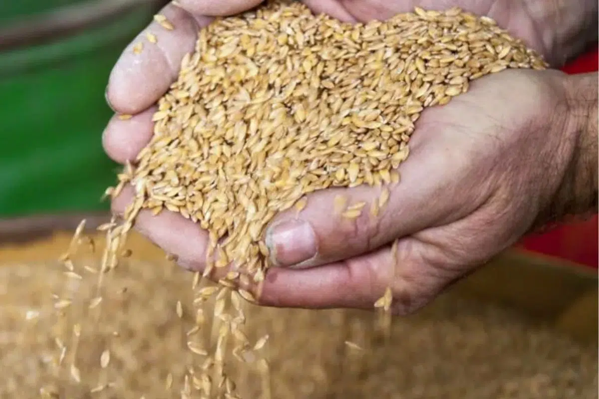 La Fédération des Parcs naturels régionaux de France soutient la cause des agriculteurs La Fédération des Parcs naturels régionaux de France soutient la cause des agriculteurs