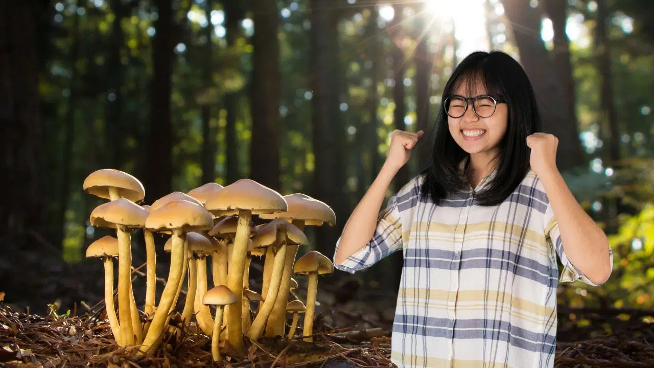 Vous ne le saviez pas mais on trouve encore des champignons comestibles en janvier ! Vous ne le saviez pas mais on trouve encore des champignons comestibles en janvier !