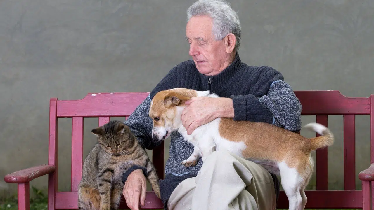 Les animaux bientôt admis dans les EHPAD ?