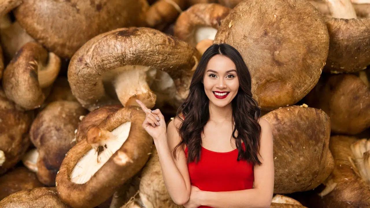 Faut-il éplucher les champignons de Paris avant de les manger ? Faut-il éplucher les champignons de Paris avant de les manger ?