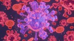 Journée Mondiale des Maladies Tropicales Négligées le 30 janvier 2024