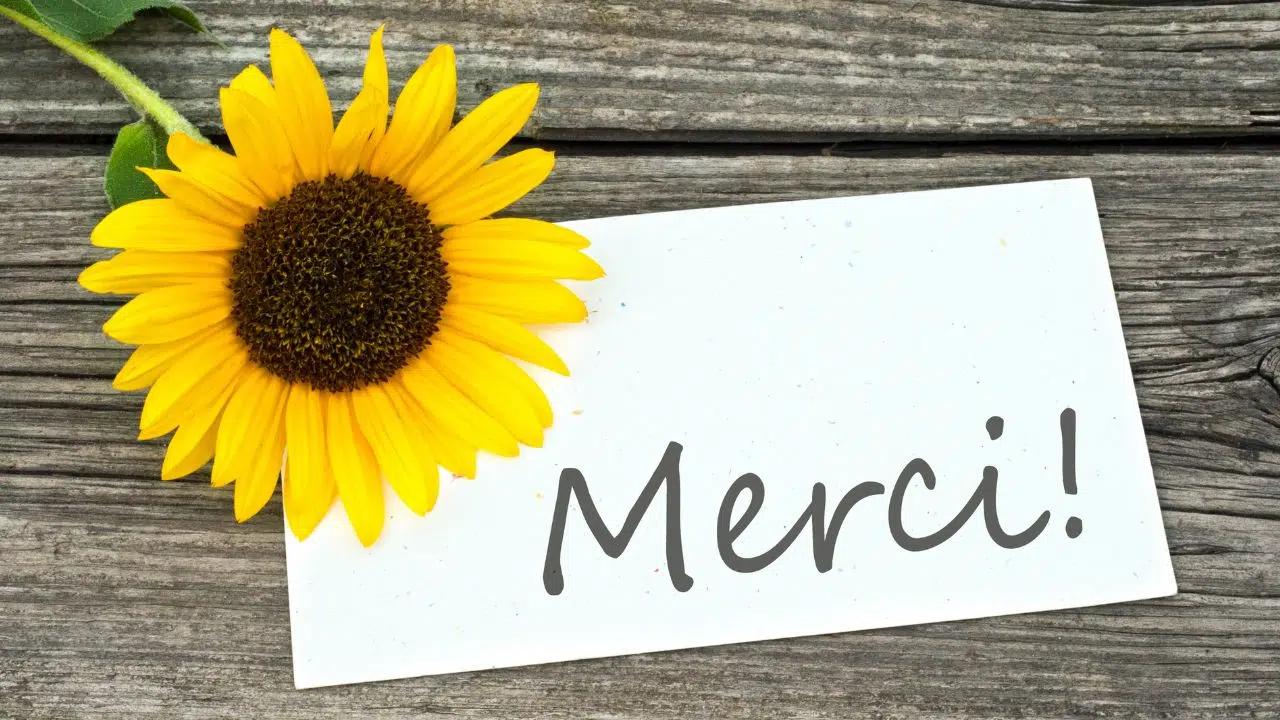 Journée mondiale du Merci le 10 janvier 2023 Journée mondiale du Merci le 10 janvier 2023