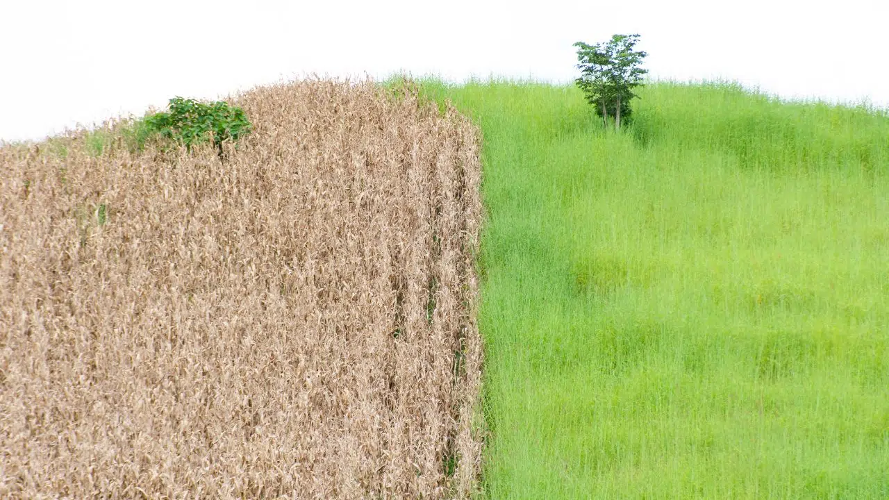 La BCE accélère sa lutte contre le changement climatique et ses risques associés La BCE accélère sa lutte contre le changement climatique et ses risques associés