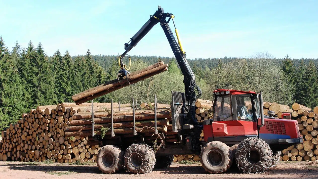 La commission européenne approuve le régime Français d’aides à la sylviculture La commission européenne approuve le régime Français d’aides à la sylviculture