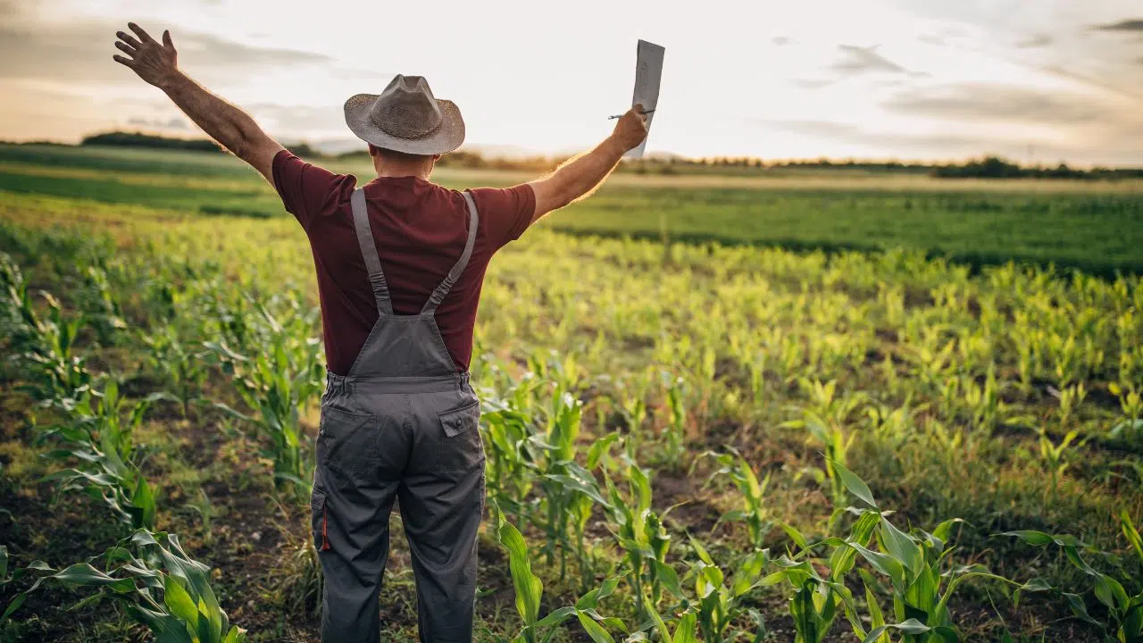 Les mouvements de contestation des agriculteurs servent-ils à quelque chose Les mouvements de contestation des agriculteurs servent-ils à quelque chose
