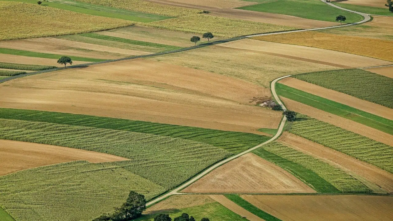 Nouvelle étude L’optimisation des rendements agricoles, un impératif pour nourrir le monde d’ici 2050 Nouvelle étude L’optimisation des rendements agricoles, un impératif pour nourrir le monde d’ici 2050