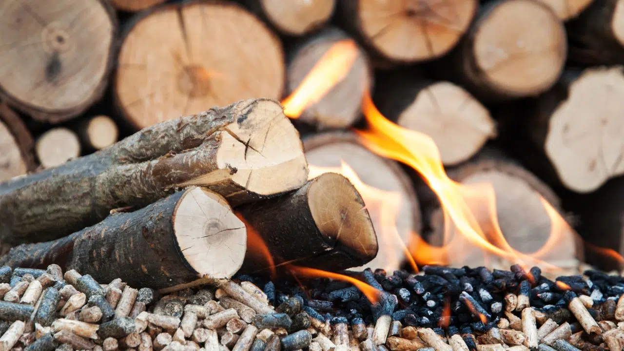 Pourquoi la biomasse peut faire capoter la transition énergétique de la France ! Pourquoi la biomasse peut faire capoter la transition énergétique de la France !
