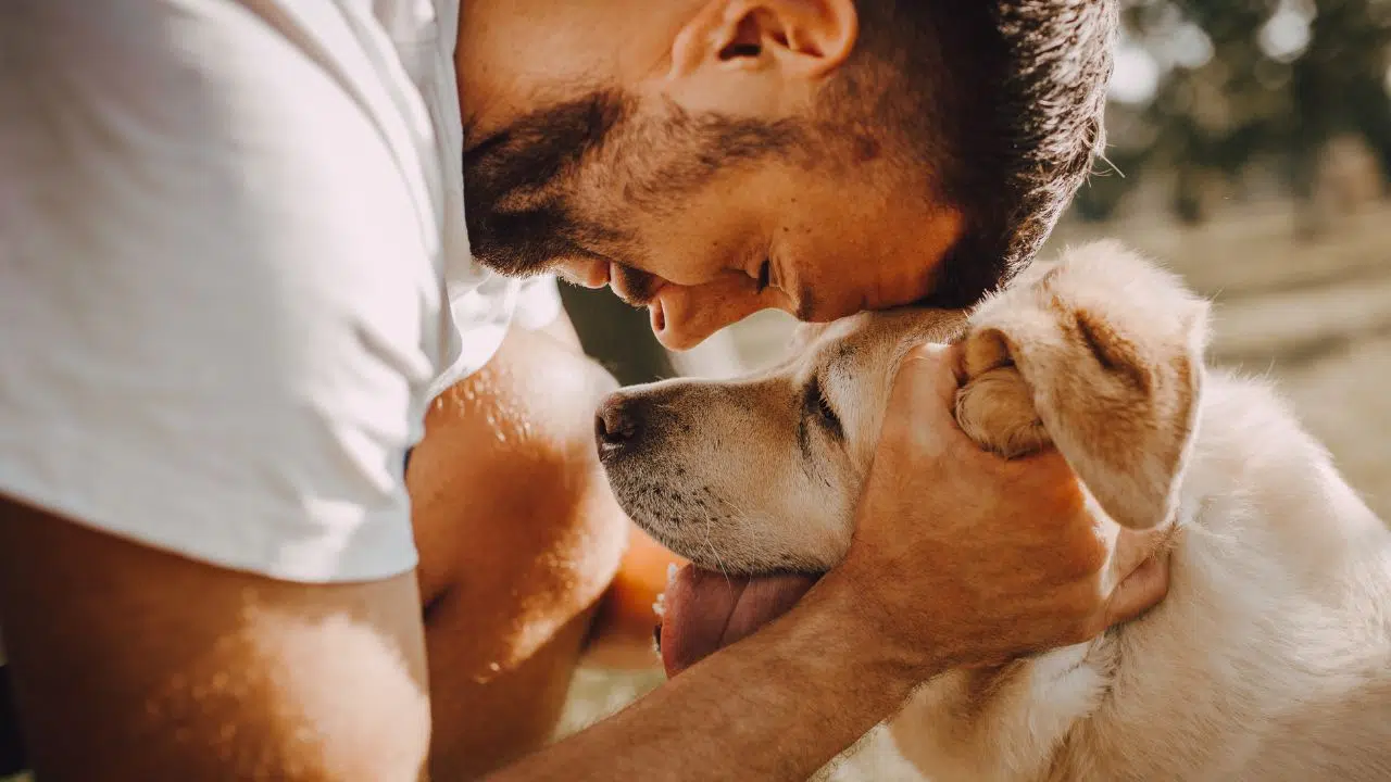 Si les humains disparaissaient, qu’adviendrait-il de nos chiens Si les humains disparaissaient, qu’adviendrait-il de nos chiens