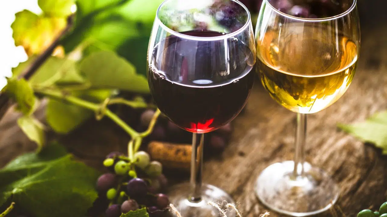 Un événement clé pour le secteur des vins bio Un événement clé pour le secteur des vins bio