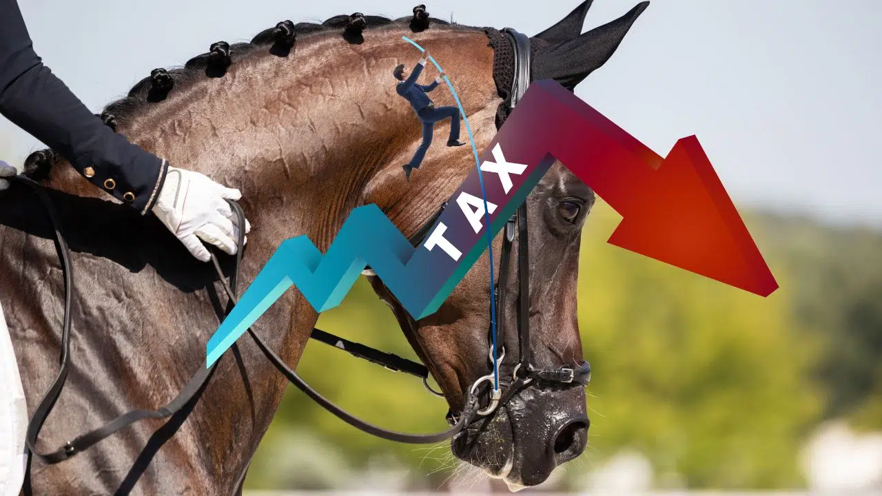 Impôt et cheval enfin réconciliés après 10 ans de lutte ? Impôt et cheval enfin réconciliés après 10 ans de lutte ?
