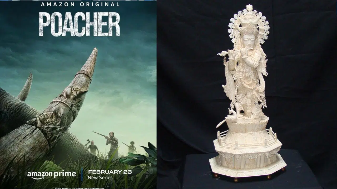 Amazon Prime Poacher, la Lumière sur le commerce sanglant de l'ivoire Amazon Prime Poacher, la Lumière sur le commerce sanglant de l'ivoire