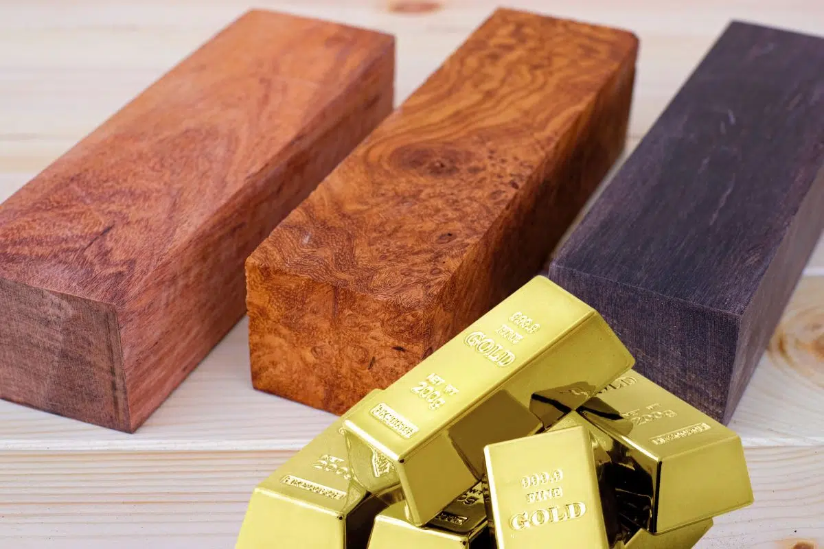 C'est un des bois les plus précieux au monde : 10 000 euros/Kg C'est un des bois les plus précieux au monde : 10 000 euros/Kg