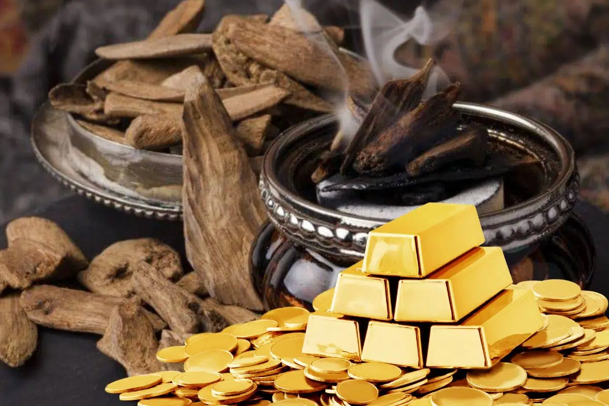 Ce bois très rare est aussi cher que de l'or : 30 000 € /kg Ce bois très rare est aussi cher que de l'or : 30 000 € /kg