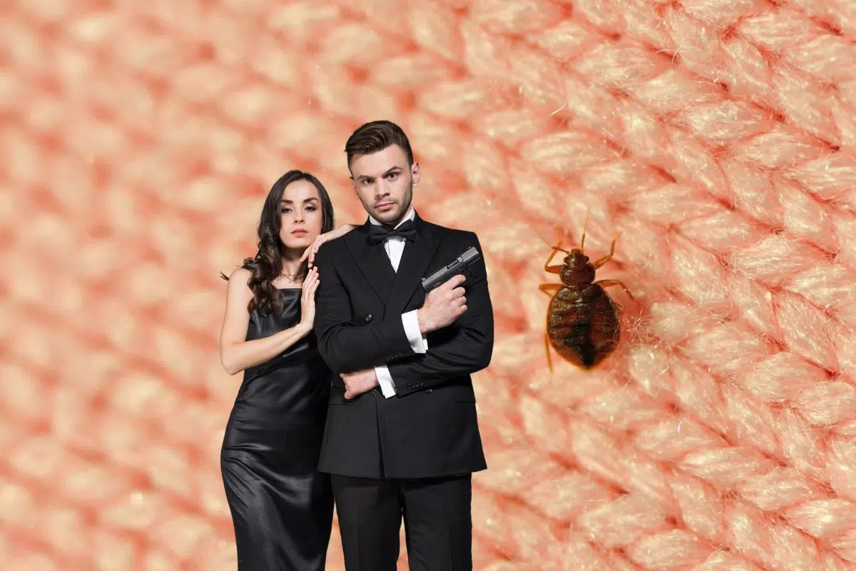 Le retour des punaises de lit avec la fin de l'hiver ! Découvrez notre arme secrète pour les empêcher d'envahir votre foyer Le retour des punaises de lit avec la fin de l'hiver ! Découvrez notre arme secrète pour les empêcher d'envahir votre foyer