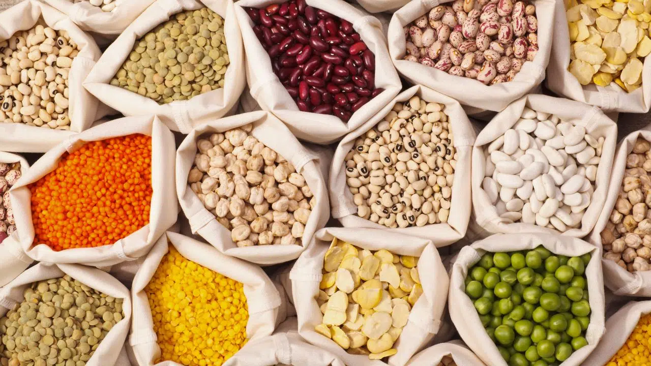 Journée Internationale des Légumineuses le 10 février 2024 Journée Internationale des Légumineuses le 10 février 2024