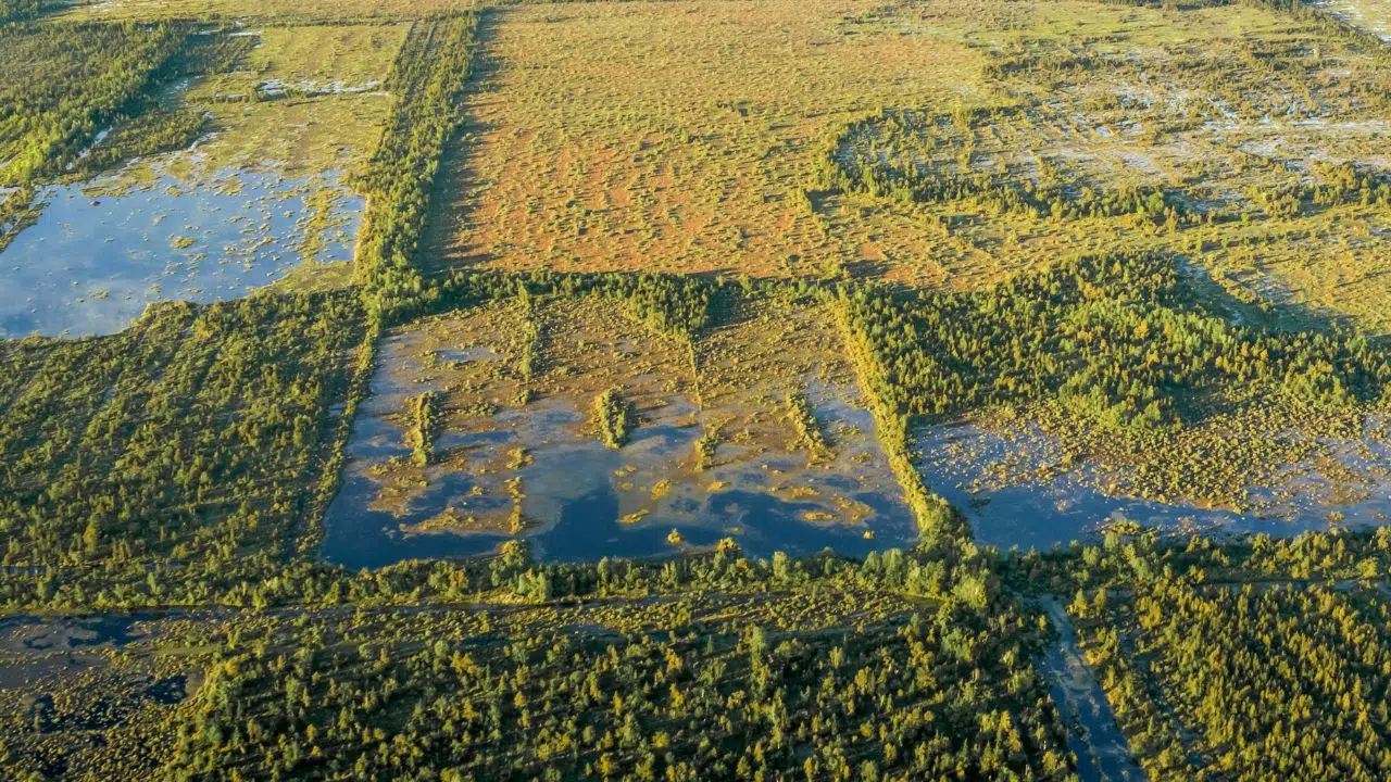 Journée Mondiale des Zones Humides le 2 février 2024 Journée Mondiale des Zones Humides le 2 février 2024