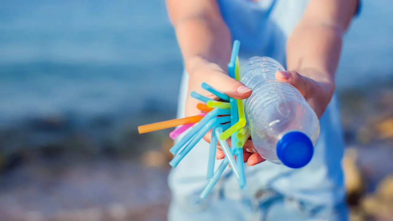 Journée internationale sans paille Le 3 février 2024 Journée internationale sans paille Le 3 février 2024