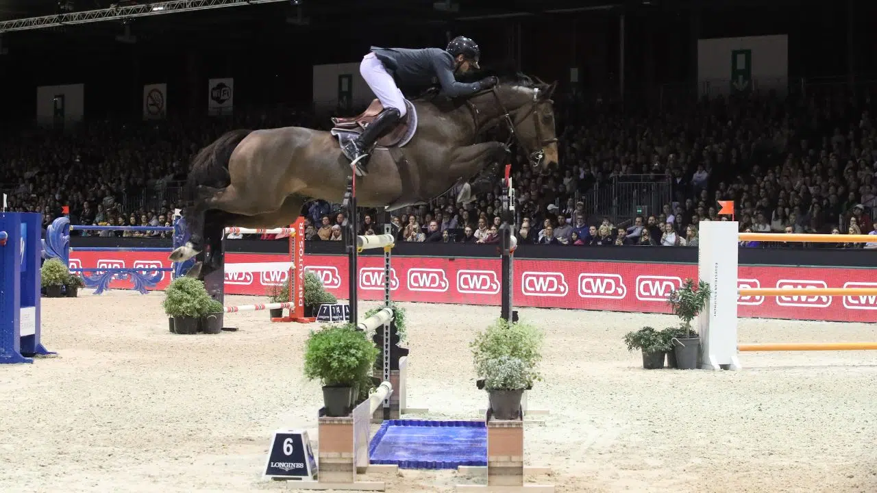 Julien Epaillard et Donatello d’Auge, Rois du Jumping International de Bordeaux 2024 Julien Epaillard et Donatello d’Auge, Rois du Jumping International de Bordeaux 2024