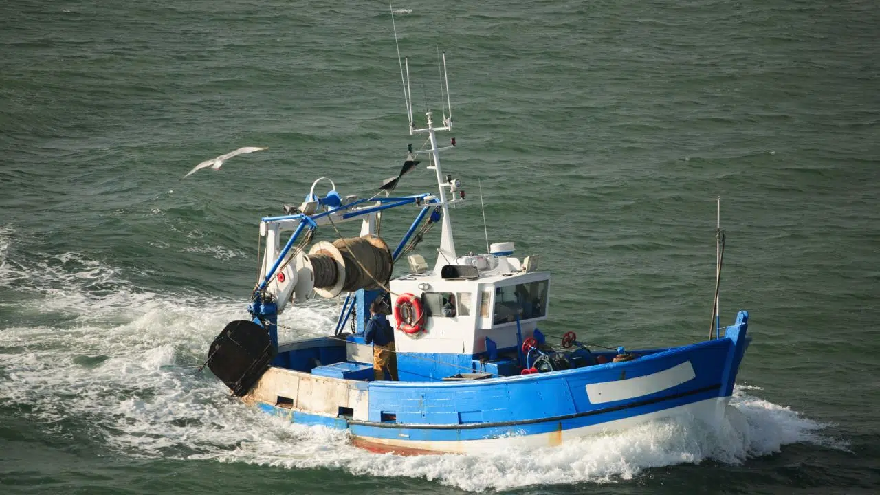 Les pêcheurs en colère Découvrez les nouvelles règles de pêche pour l'Atlantique Les pêcheurs en colère Découvrez les nouvelles règles de pêche pour l'Atlantique