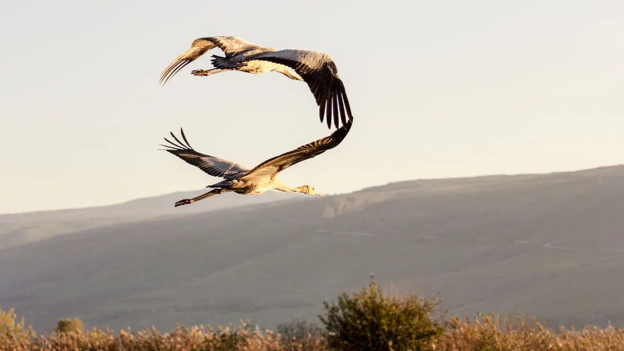 L'union européenne adopte un plan pour restaurer au moins 20% des terres et des mers d'ici 2030 L'union européenne adopte un plan pour restaurer au moins 20% des terres et des mers d'ici 2030