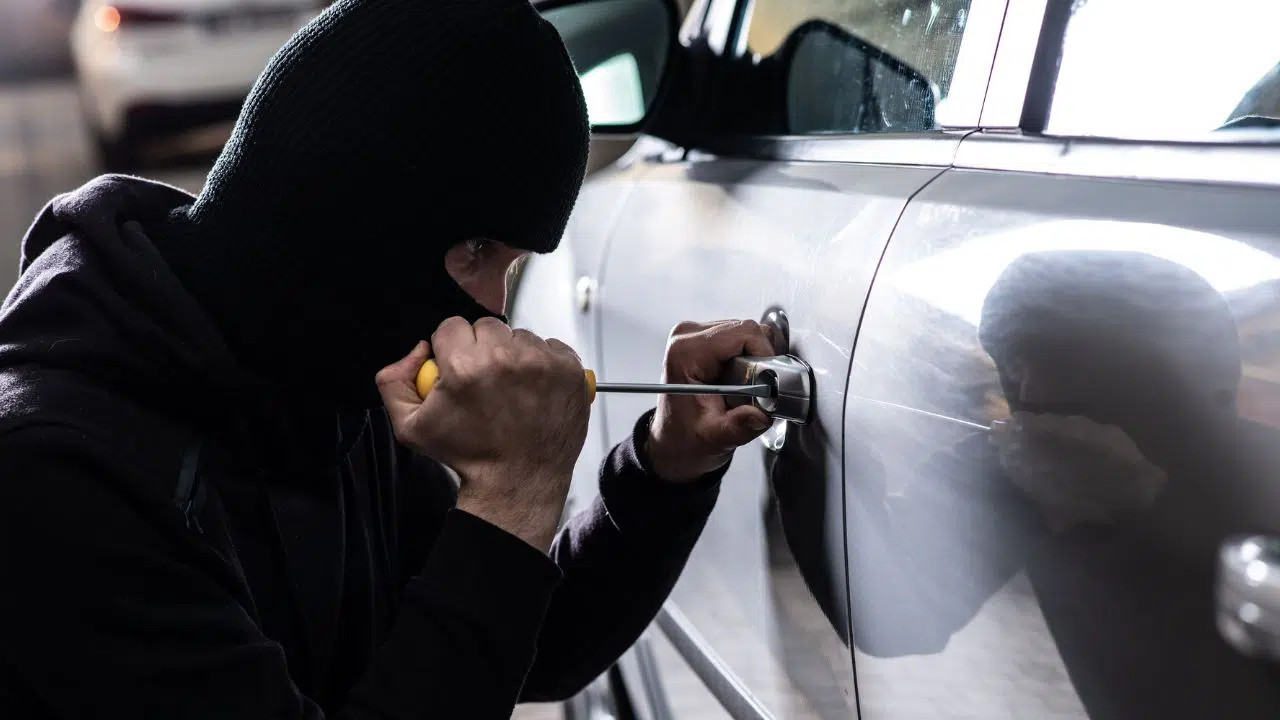 Quelles sont les voitures les plus volées en France Quelles sont les voitures les plus volées en France