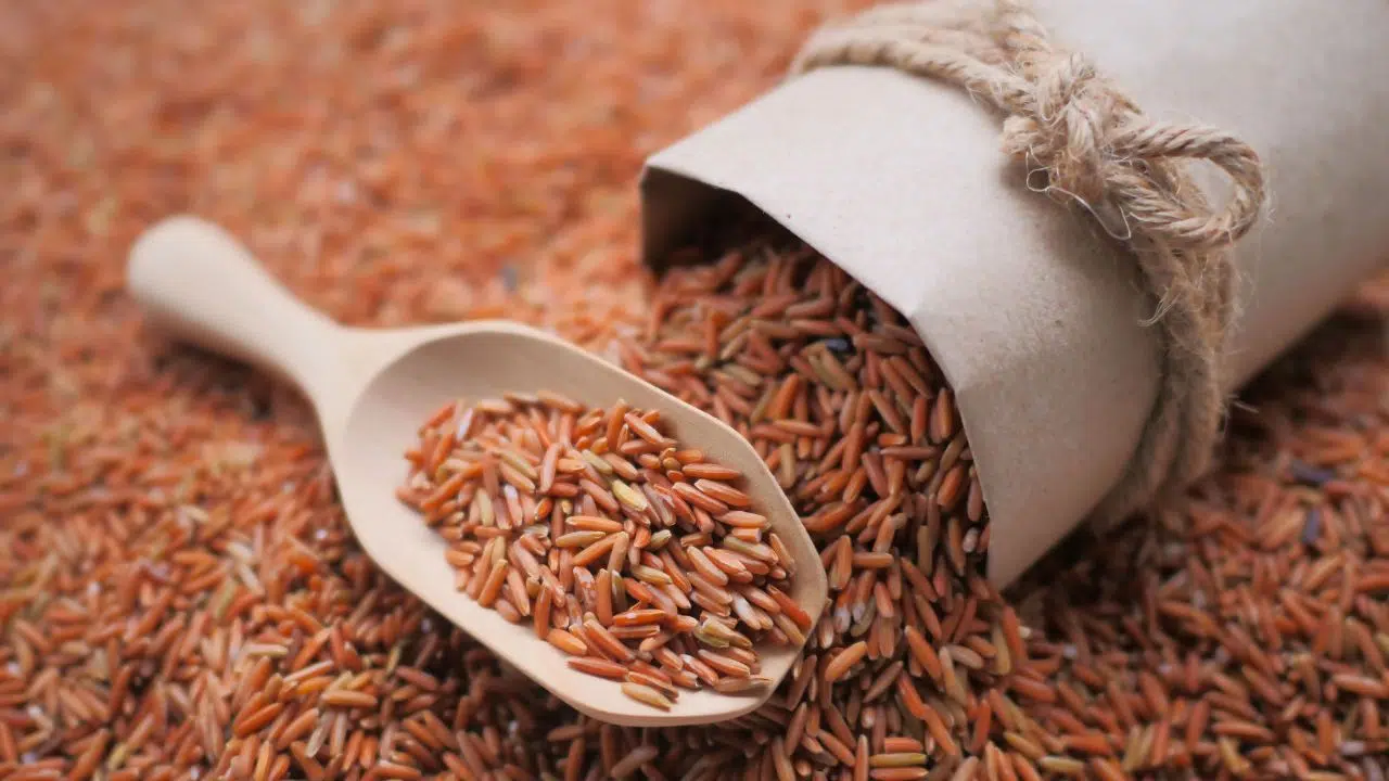 Saisie de 48,8 tonnes de Riz Brun non conforme au Havre Saisie de 48,8 tonnes de Riz Brun non conforme au Havre