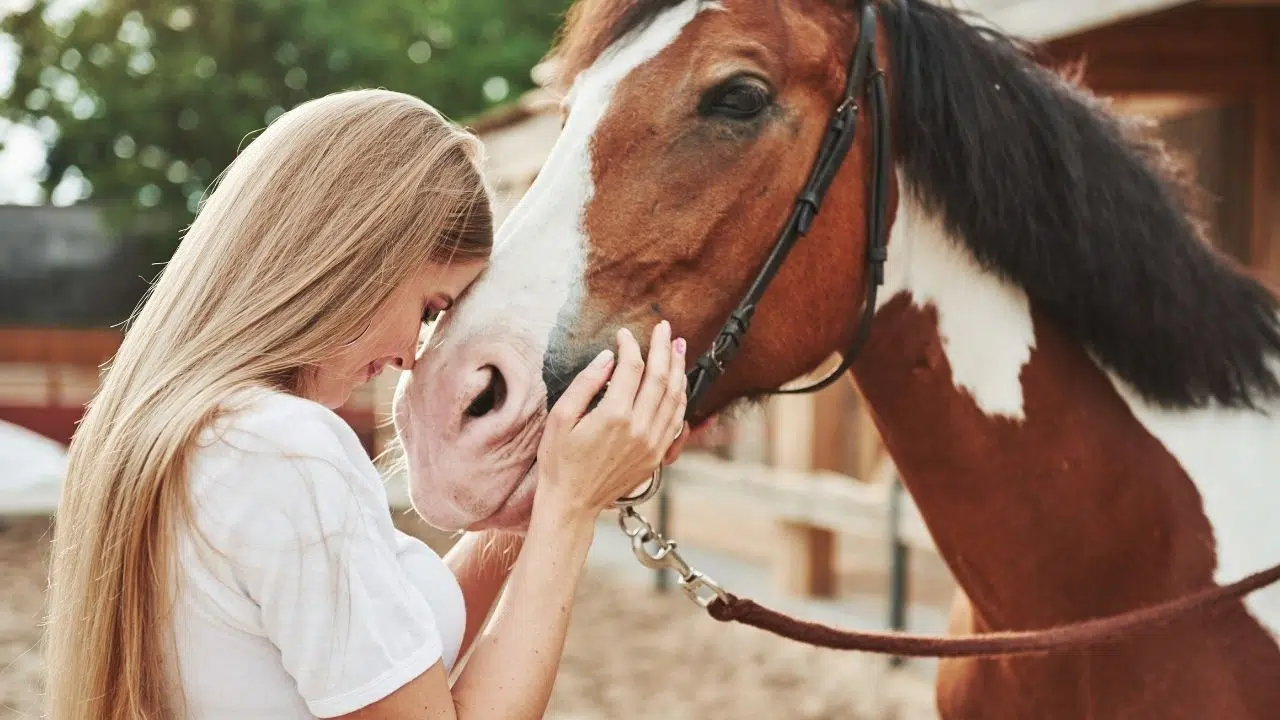 Un partenariat inédit pour lutter contre le cancer la FFE s'associe à la Ligue contre le cancer 31 Un partenariat inédit pour lutter contre le cancer la FFE s'associe à la Ligue contre le cancer 31