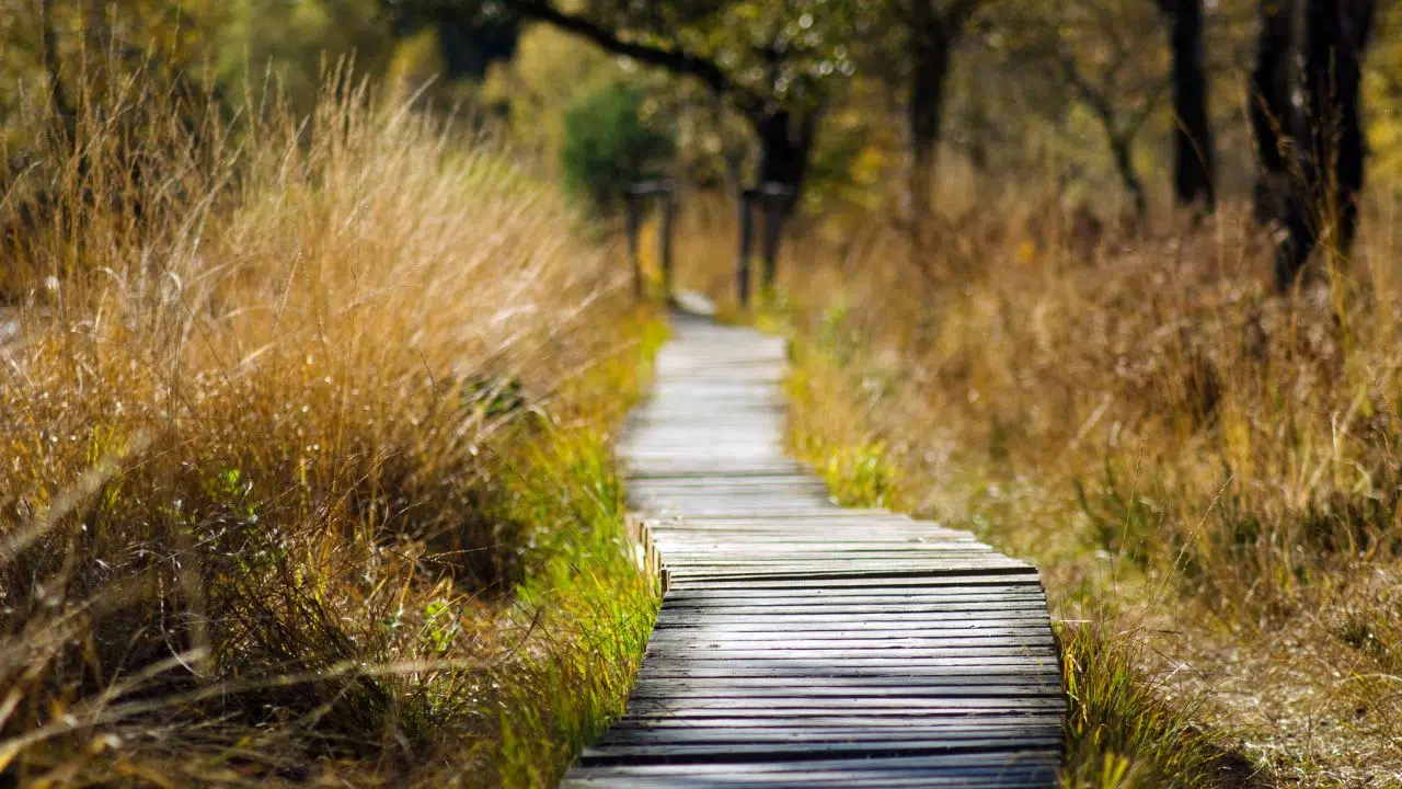 Un partenariat renforcé entre Crédit Agricole et le groupe BEI pour financer la transition énergétique Un partenariat renforcé entre Crédit Agricole et le groupe BEI pour financer la transition énergétique