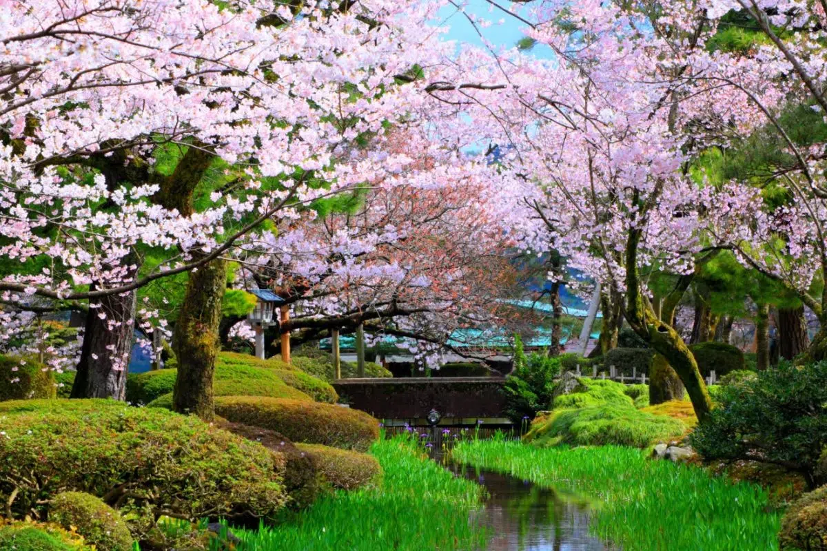 Découvrez comment le Japon va se relancer avec le tourisme après le terrible séisme de janvier Découvrez comment le Japon va se relancer avec le tourisme après le terrible séisme de janvier