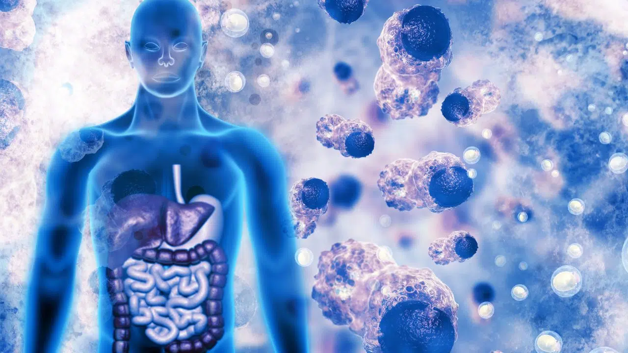 Cure51 Une levée de fonds prometteuse pour combattre le cancer de manière révolutionnaire Cure51 Une levée de fonds prometteuse pour combattre le cancer de manière révolutionnaire