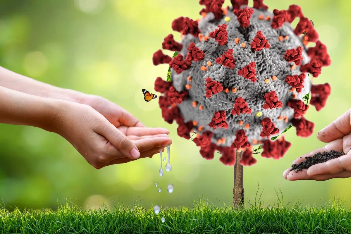 Les virus vont tous nous sauver et ce n'est pas une blague Les virus vont tous nous sauver et ce n'est pas une blague