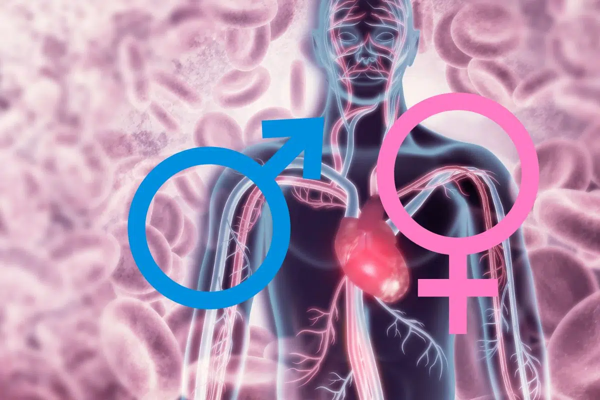 Cet organe vital diffère selon que vous êtes une femme ou un homme d'après cette étude récente Cet organe vital diffère selon que vous êtes une femme ou un homme d'après cette étude récente