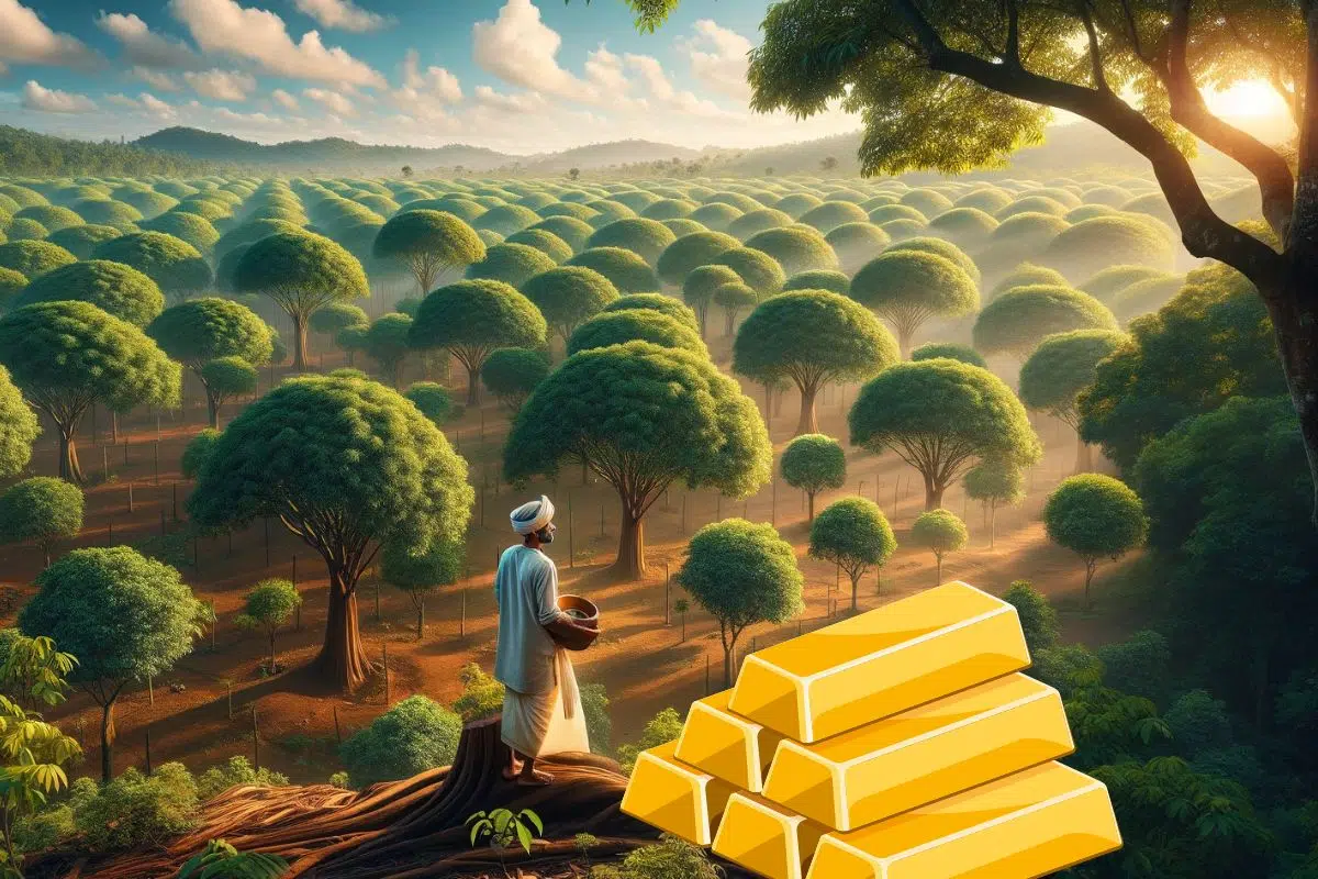 Ce bois venu d'Inde est un des plus cher du monde avec 7000 €/kg Ce bois venu d'Inde est un des plus cher du monde avec 7000 €/kg