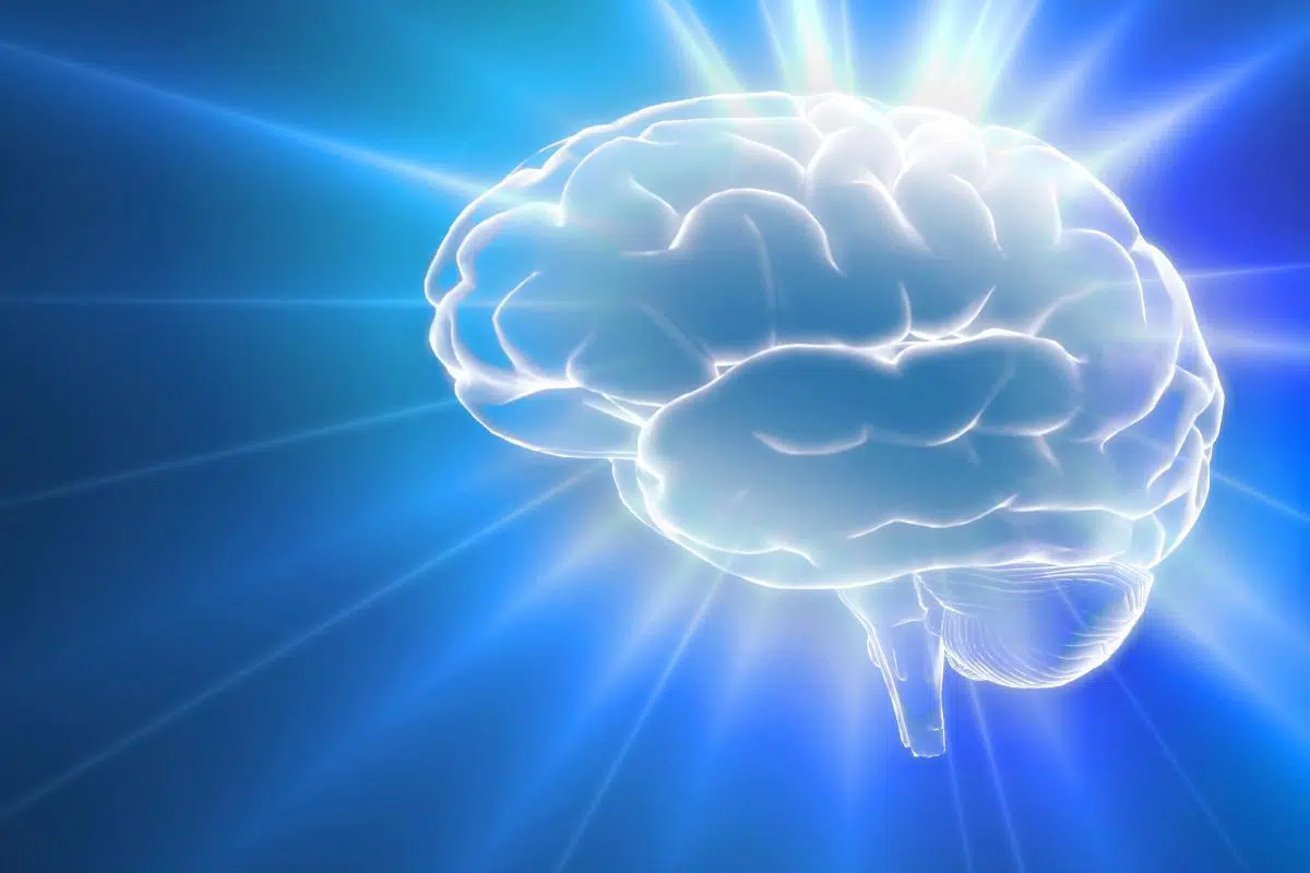 Nos cerveaux grossissent et c'est une très bonne nouvelle d'après cette étude Nos cerveaux grossissent et c'est une très bonne nouvelle d'après cette étude