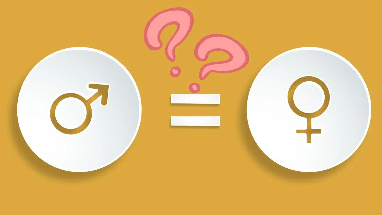 « En 2024, une femme = un homme Une question de pouvoir » Conférence capitale sur les droits des femmes « En 2024, une femme = un homme Une question de pouvoir » Conférence capitale sur les droits des femmes