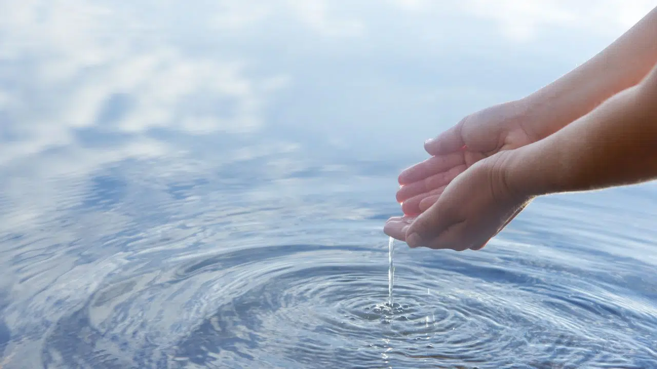 Journée mondiale de l'eau le 22 mars 2024 Journée mondiale de l'eau le 22 mars 2024