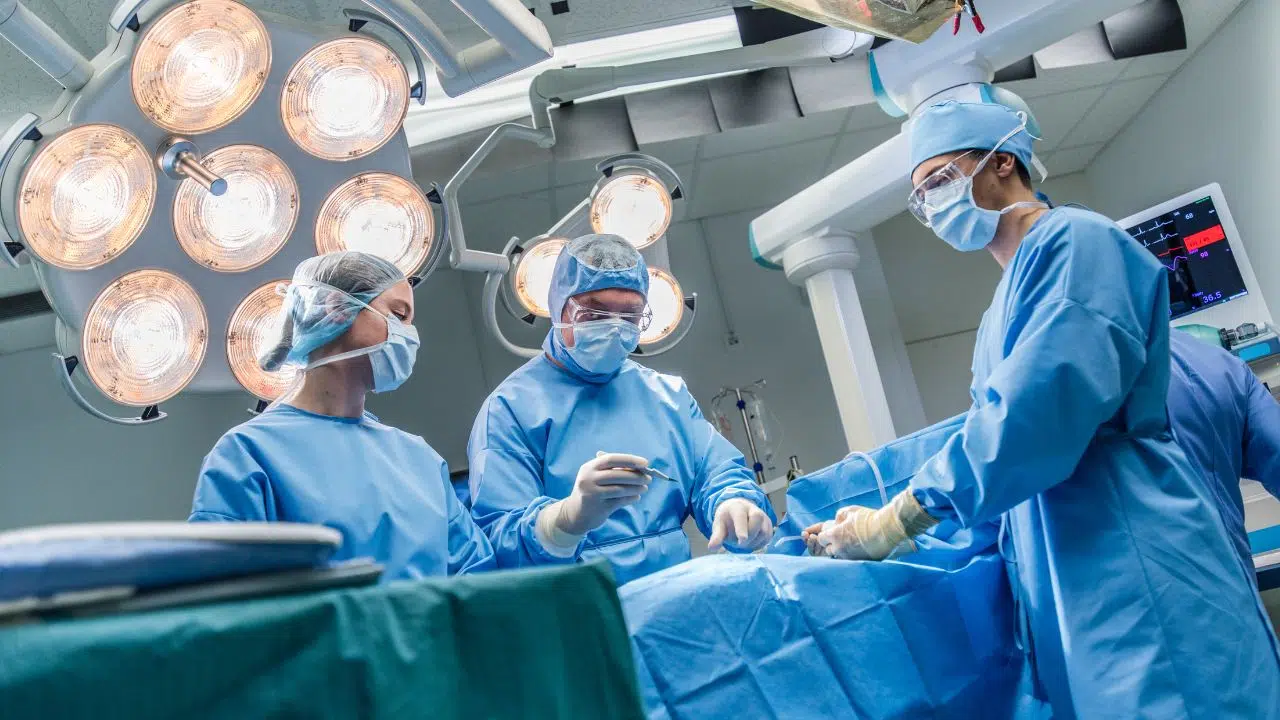 L'alimentation grasse avant une opération pourrait altérer la mémoire chez les adultes, jeunes et âgés L'alimentation grasse avant une opération pourrait altérer la mémoire chez les adultes, jeunes et âgés