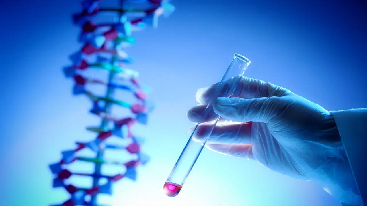 Les nouvelles techniques génomiques un tournant majeur pour l'agriculture européenne Les nouvelles techniques génomiques un tournant majeur pour l'agriculture européenne