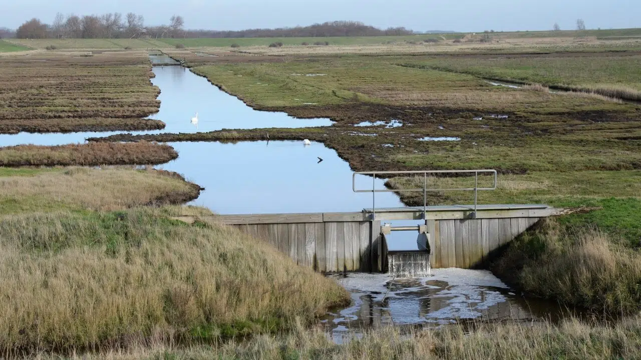 Plan Eau Le plan ambitieux de 50 sites industriels engagés dans un gestion raisonnée de l'eau Plan Eau Le plan ambitieux de 50 sites industriels engagés dans un gestion raisonnée de l'eau